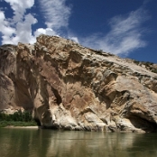 Dinosaur NM 05
